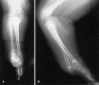 Fig. 2.