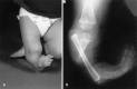 Fig. 1.