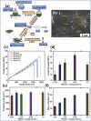 Fig. 3