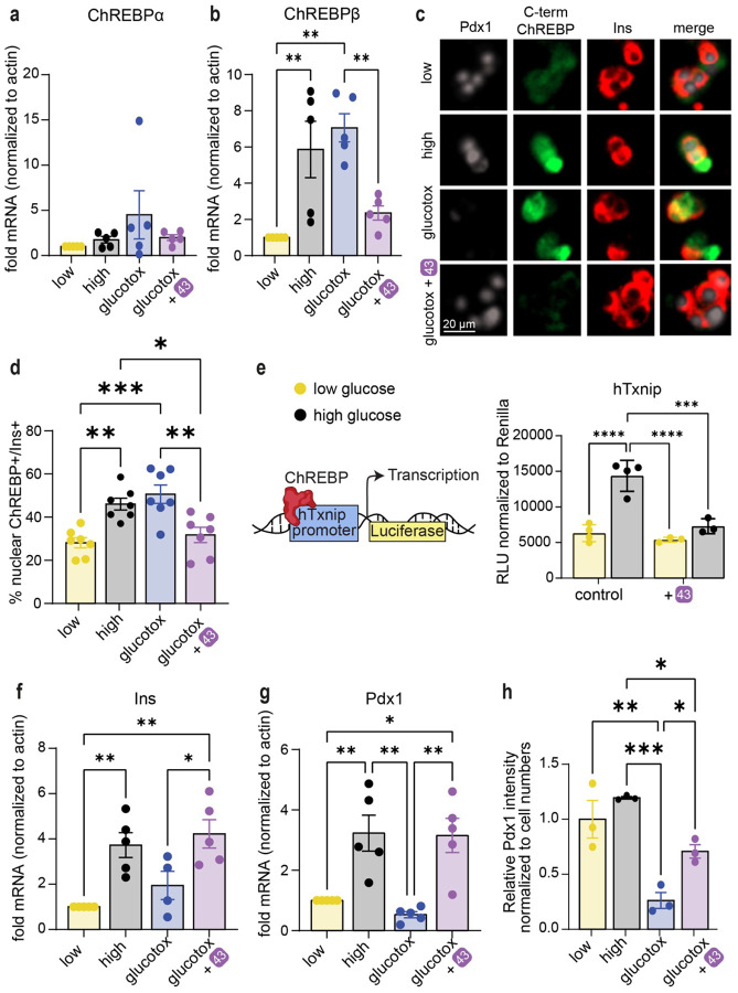 Fig. 6: