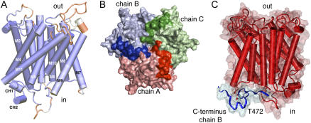 Figure 5.