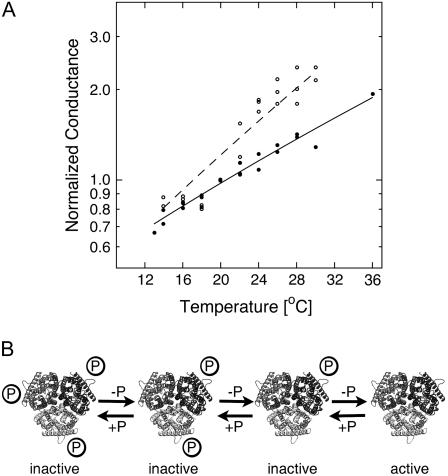 Figure 7.