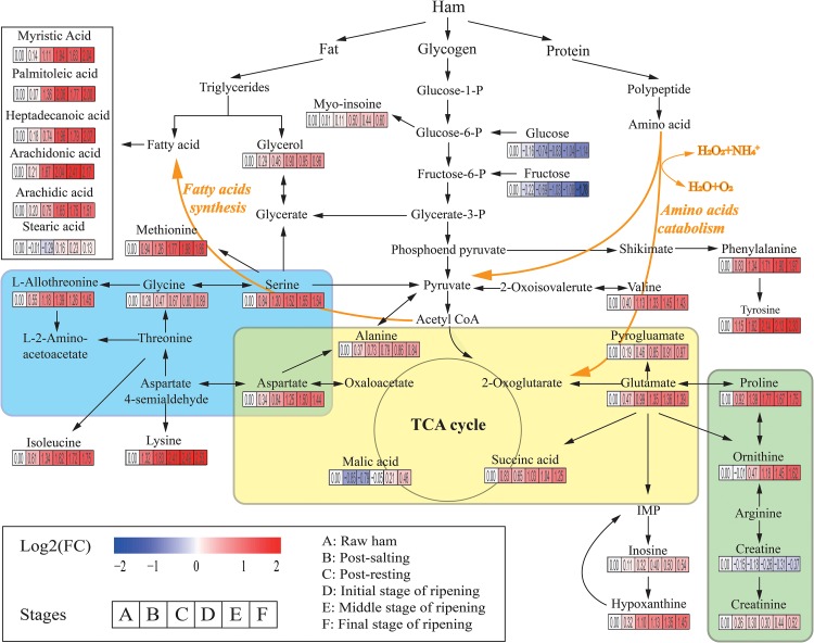 FIGURE 2