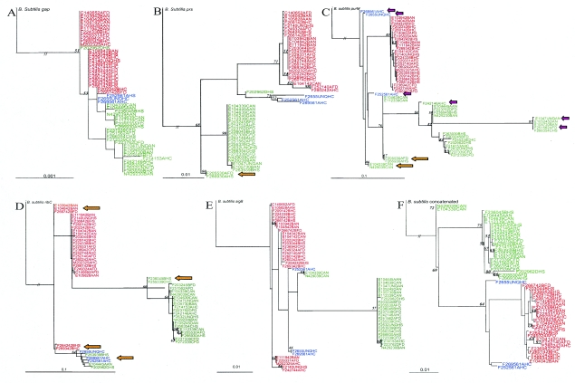 FIG. 2.