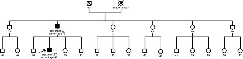 Figure 1