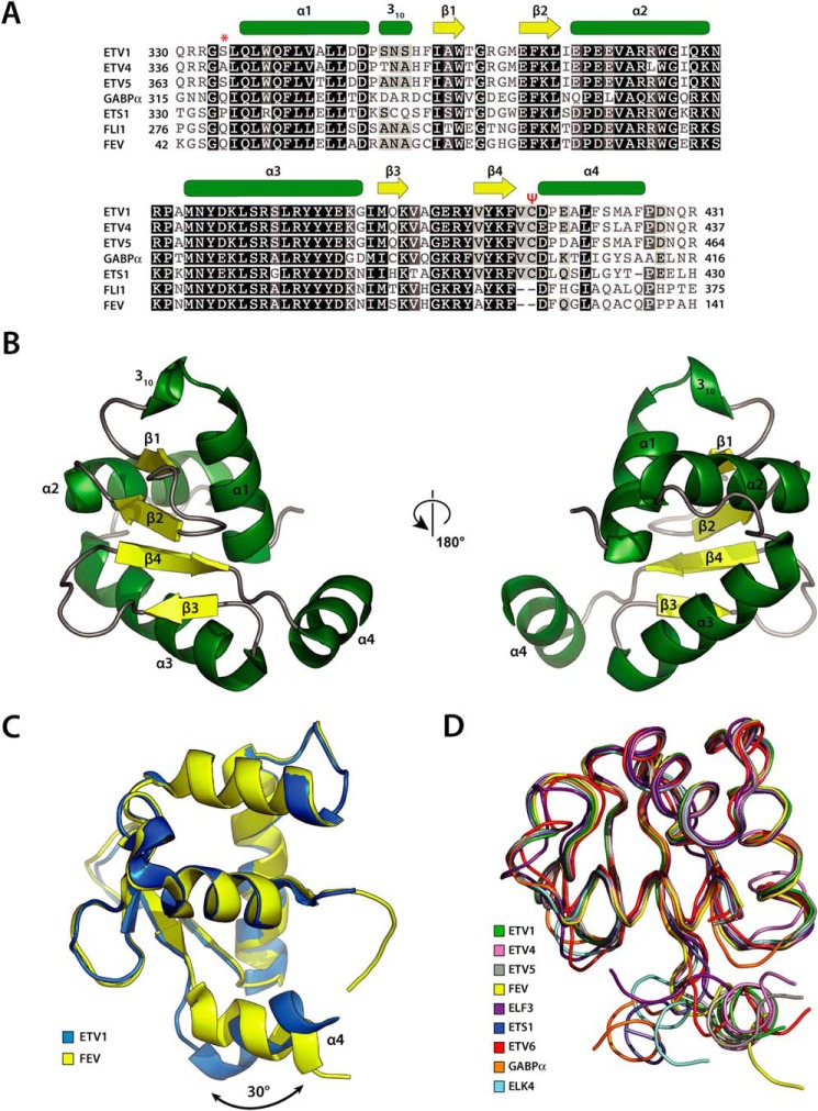 FIGURE 1.