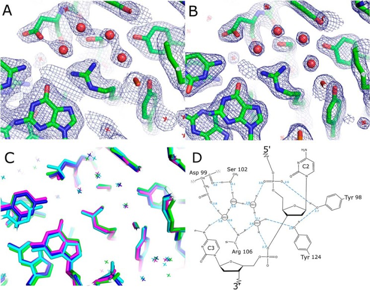 FIGURE 4.