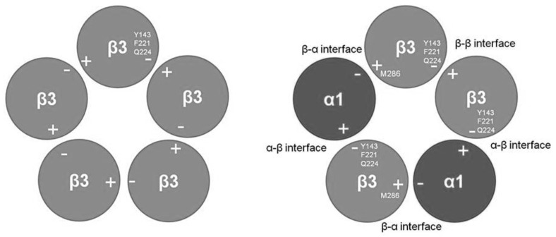 Fig. (1)