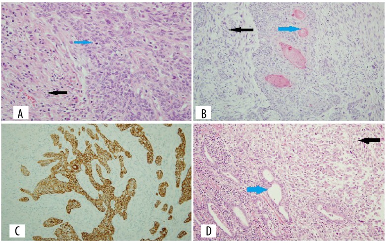 Figure 2.