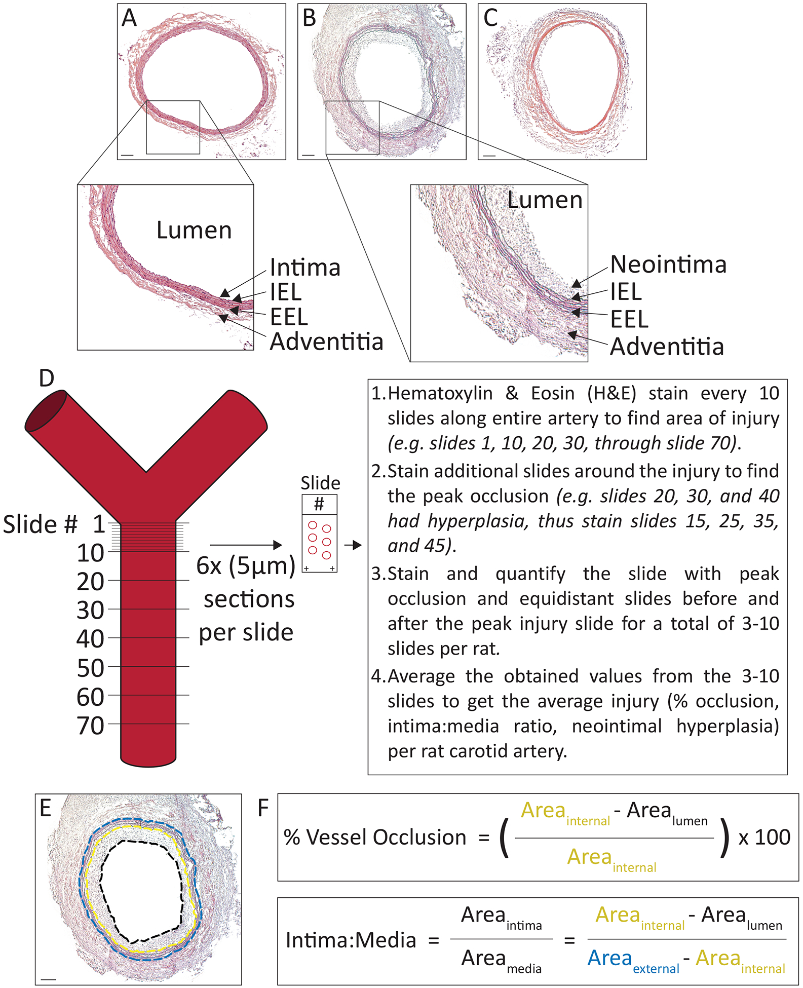 Figure 2.