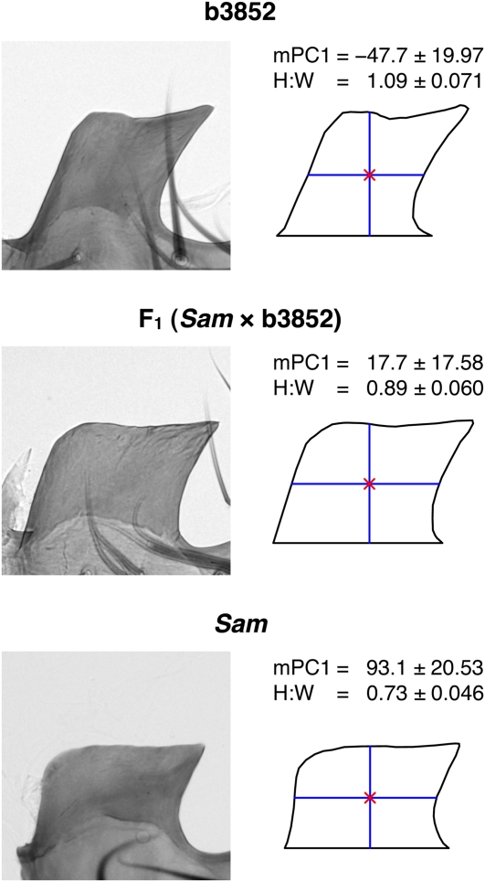 Figure 3 