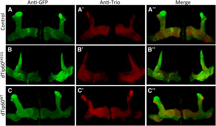 Figure 6