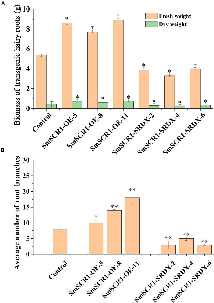 FIGURE 6