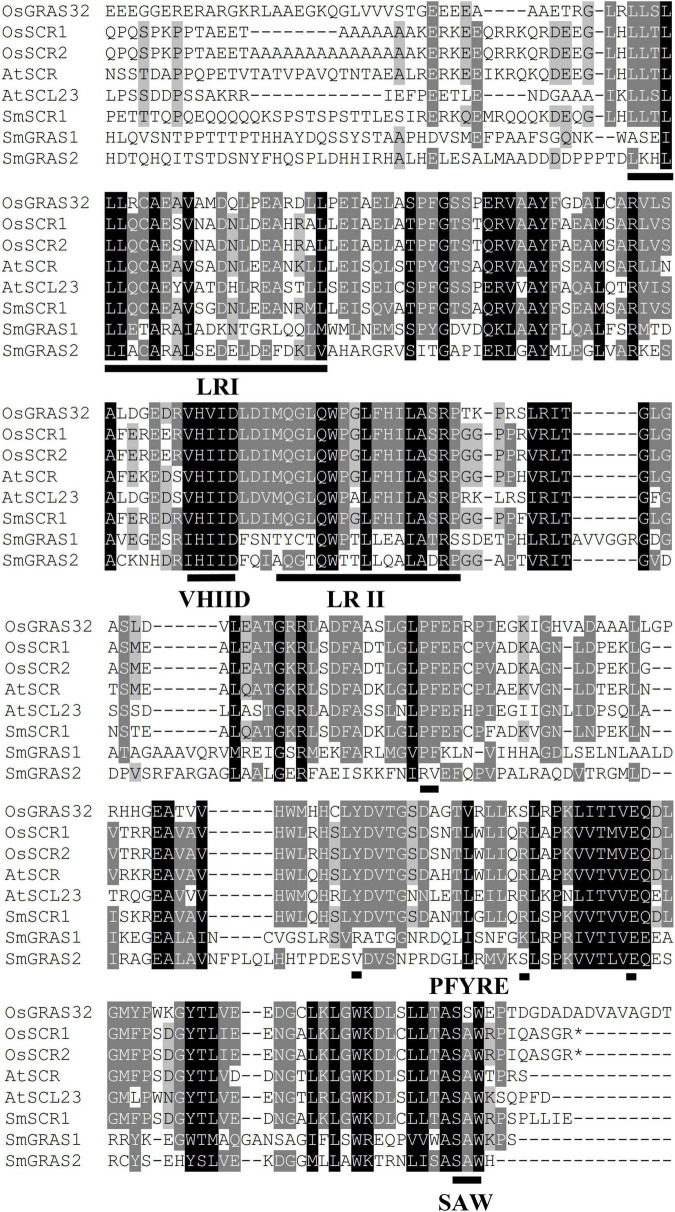 FIGURE 2