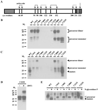 Fig 1.