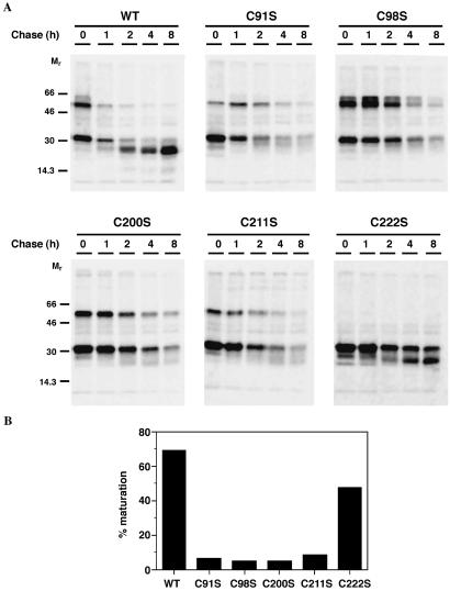 Fig 3.