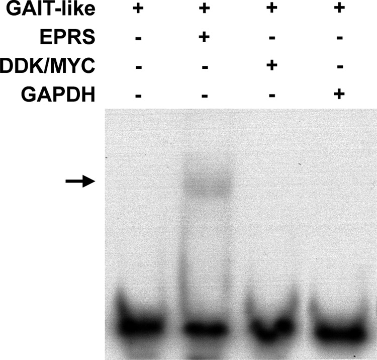 FIG 5 