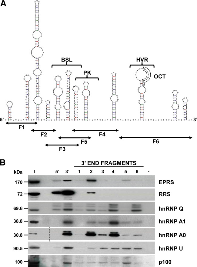 FIG 2 