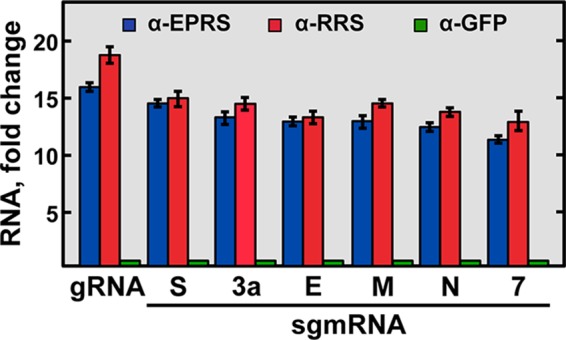 FIG 4 