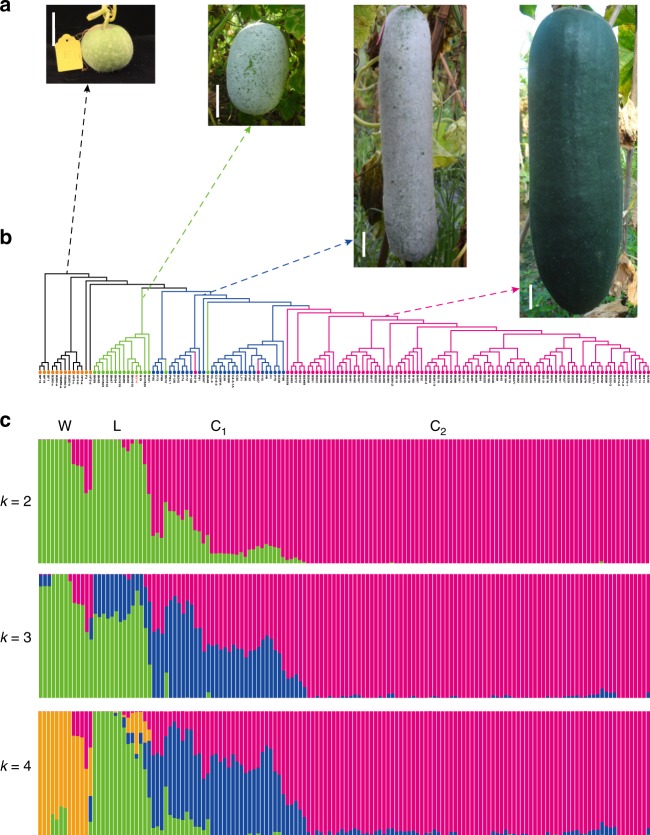 Fig. 4