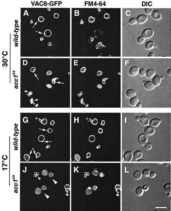 FIG. 9