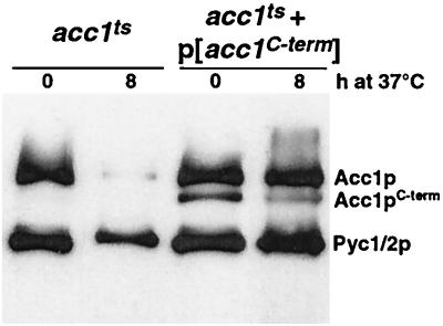 FIG. 5