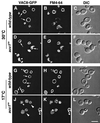 FIG. 9