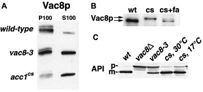 FIG. 8