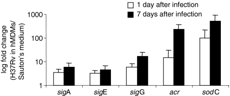 Figure 7