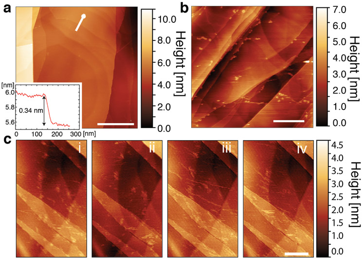 Figure 1: