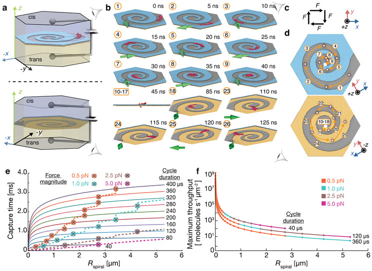 Figure 6: