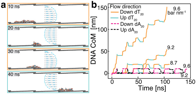 Figure 5: