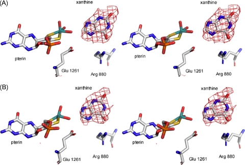 FIGURE 4.