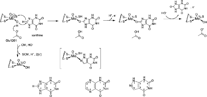 FIGURE 1.