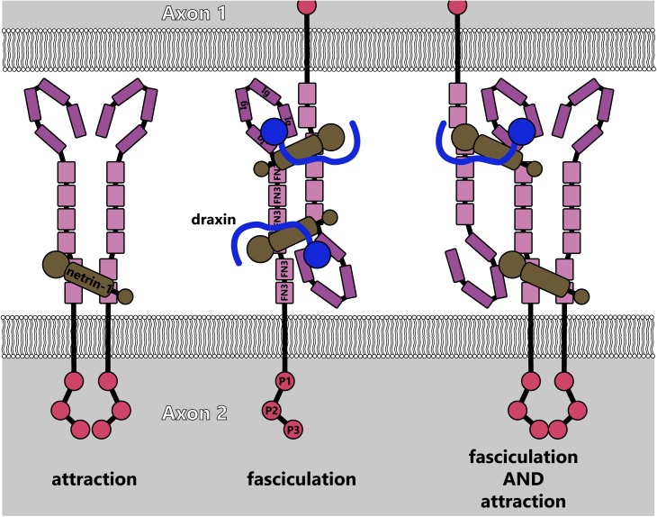 FIGURE 9