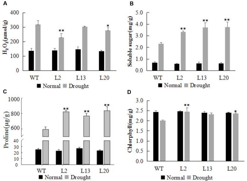 FIGURE 4