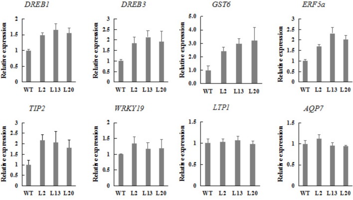 FIGURE 6