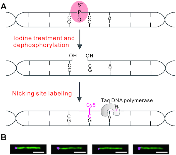 Figure 1.