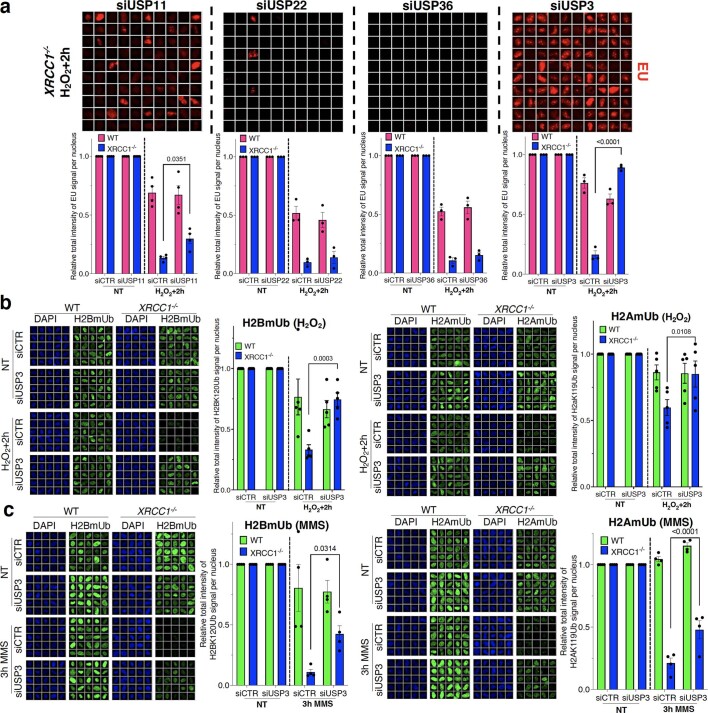 Extended Data Fig. 9