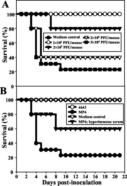 FIG. 4.