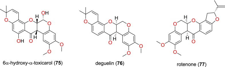 Fig. 14