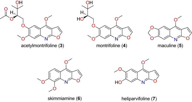 Fig. 2