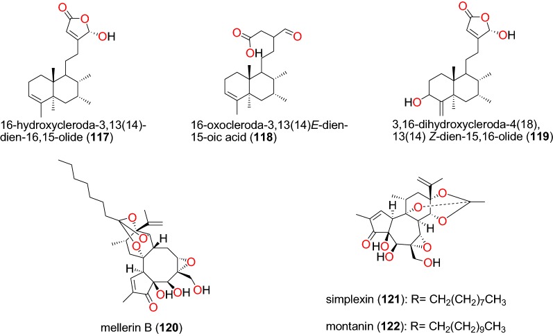 Fig. 25