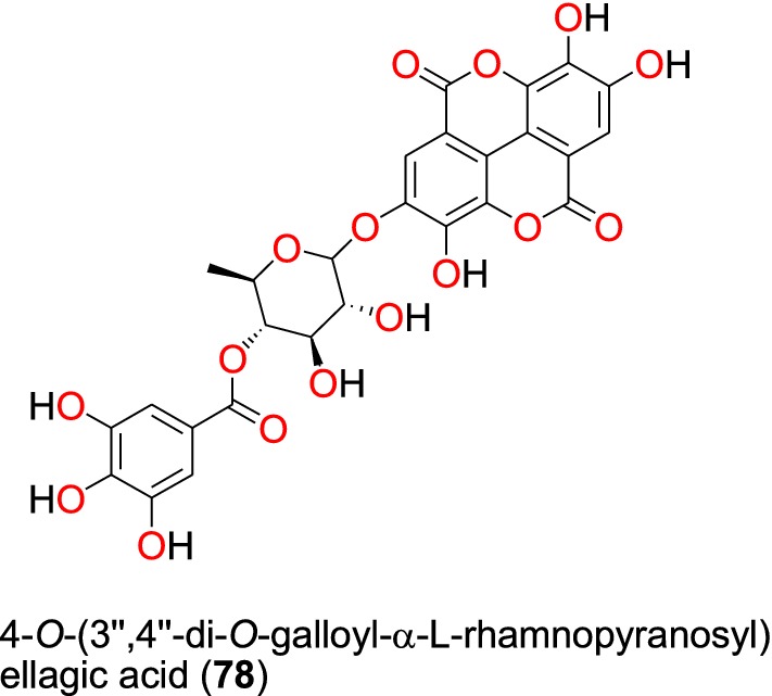 Fig. 15