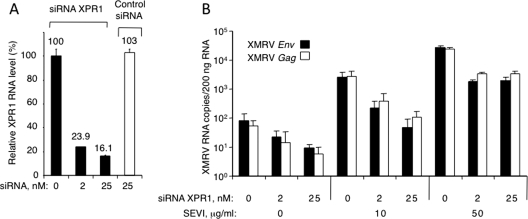 FIG. 7.