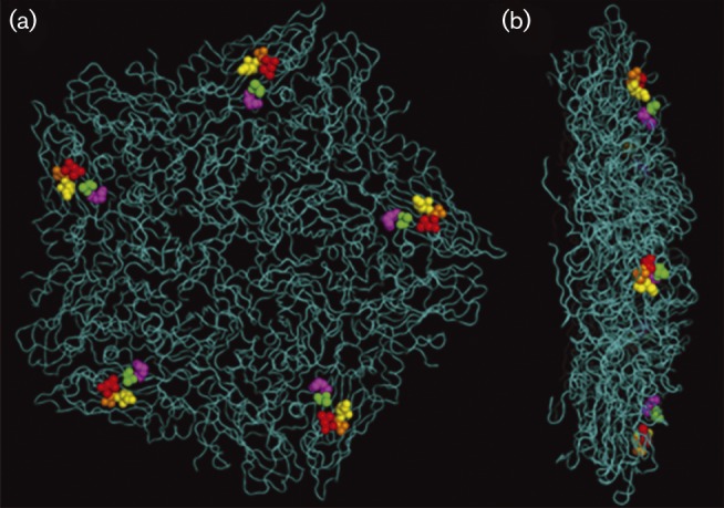 Fig. 2.