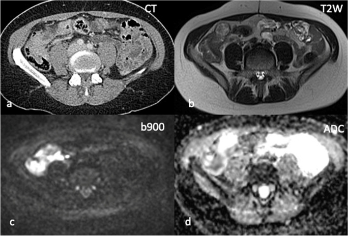 Fig. 5