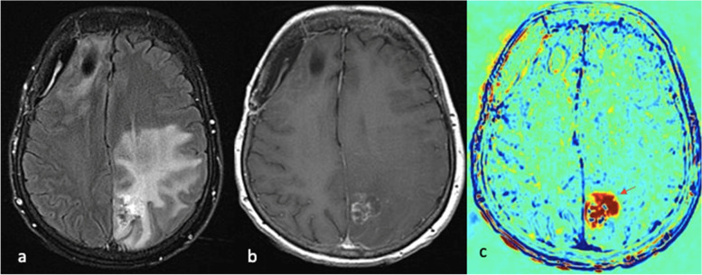 Fig. 7