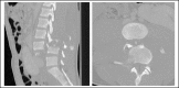 Fig.1