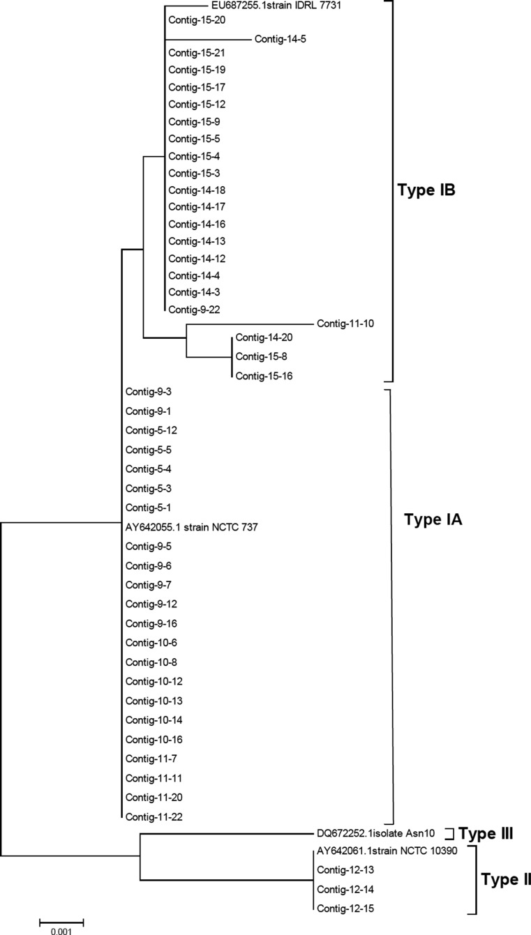 Fig. 5